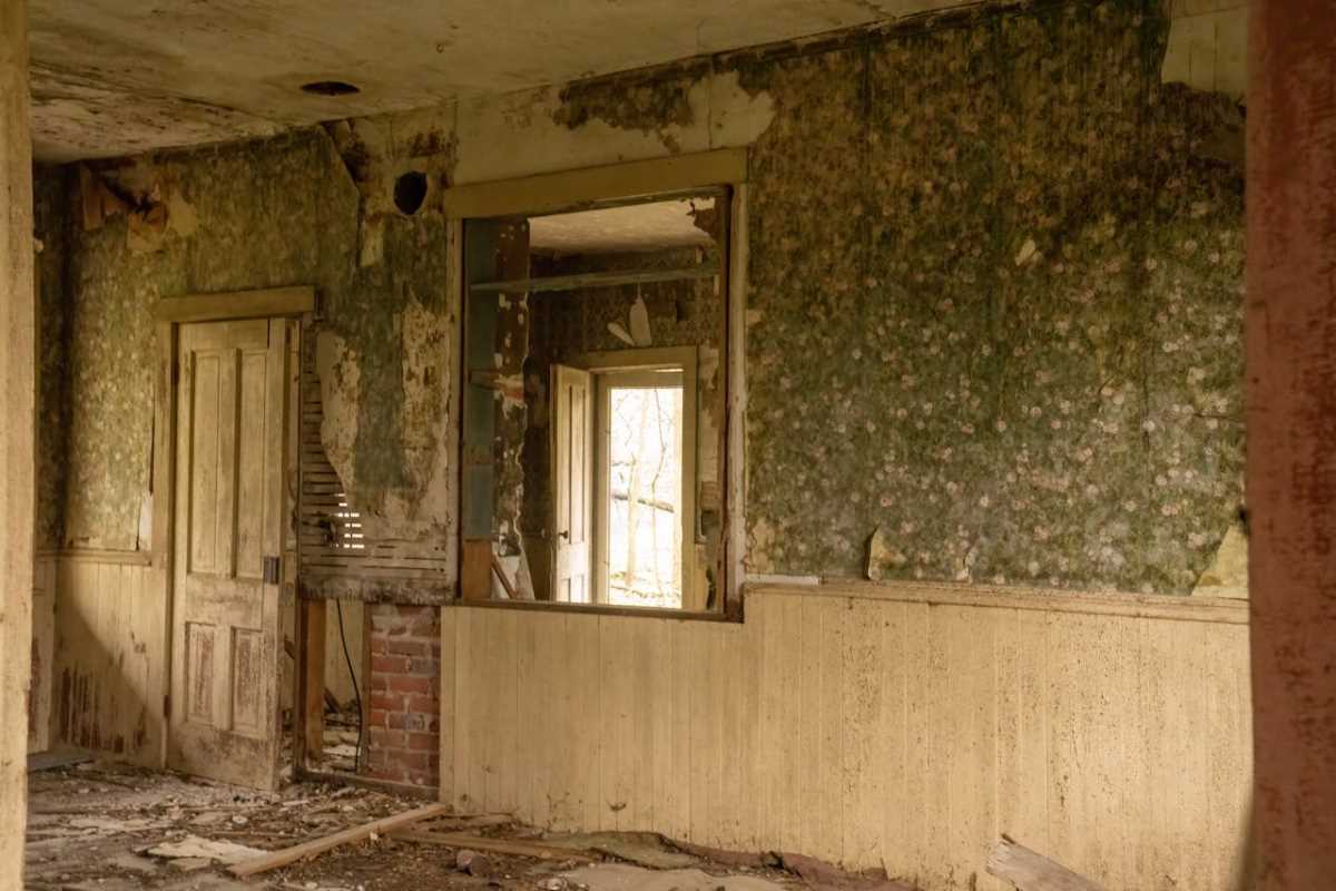 How to Spot the Signs of a Hidden Mold Problem